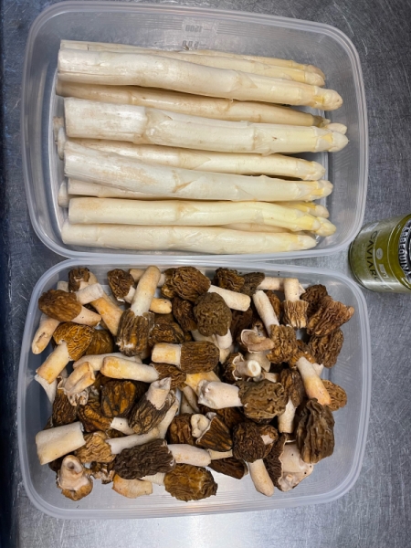 アスパラ、モリオン