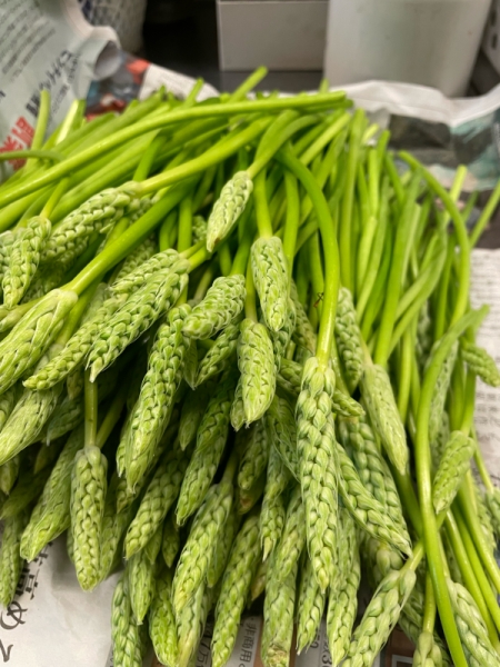 アスペルジュソヴァージュ